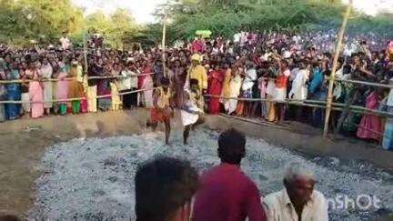 செந்துறை: குறிச்சிகுளம் கிராமத்தில் திரெளபதிஅம்மன் கோவில் தேரோட்டம் மற்றும் தீமிதி திருவிழா- திரளான பக்தர்கள் பங்கேற்பு