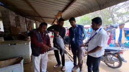 பென்னாகரம்: ஒகேனக்கல் சுற்றுலா தளத்தில் மீன் விற்பனை மற்றும் வறுவல் கடைகளில் உணவு பாதுகாப்புத் துறையினர் ஆய்வு.
