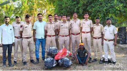 सलूम्बर: सलूम्बर जिले की सराड़ा पुलिस ने खेत में उगाए 885 अवैध गांजे के पौधे जब्त किए, एक व्यक्ति को किया गिरफ्तार