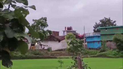 पिथौरा: महासमुंद वन परिक्षेत्र में कक्ष क्रमांक 15 कुकराडीह के जंगल में एक दतेल हाथी कर रहा है विचरण, वन विभाग ने की निगरानी