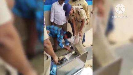 తొర్రూర్: తోర్రూర్ బస్టాండ్ లో అక్రమంగా తరలిస్తున్న గంజాయిని పట్టుకున్న పోలీసులు, వ్యక్తి అరెస్ట్
