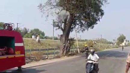 கே.வி.குப்பம்: வேப்பங்கநேரி சாலை ஓரம் இருந்த புளிய மரம் திடீரென பற்றி எரிந்ததால் பரபரப்பு ஒரு மணி நேரம் போராடி தீயை அனைத்த தீயணைப்புத் துறையினர்