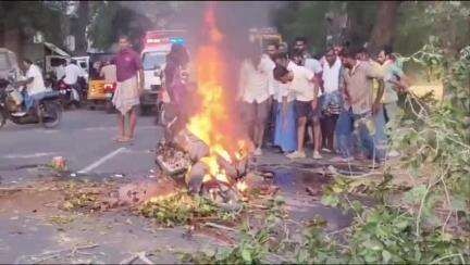 லால்குடி: மேல வாளாடி அருகே மரம் விழுந்ததில் இருசக்கர வாகனத்தில் வந்த தம்பதி உயிரிழப்பு