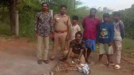 சிதம்பரம்: சிதம்பரம் சி.வக்கிரமாதி கிராமத்தில் கிராம மக்களை அச்சுறுத்திய முதலையை வனத்துறையினர் பிடித்துச் சென்றனர்