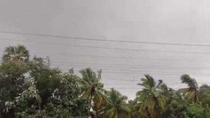 ஆலங்குளம்: கனமழை காரணமாக கீழப்பாவூர் பகுதிகளில் நெற்பயிர்கள் சேதம் விவசாயிகள் வேதனை