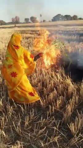 भरसवां मौदहा
मे लाइट से लगी आग