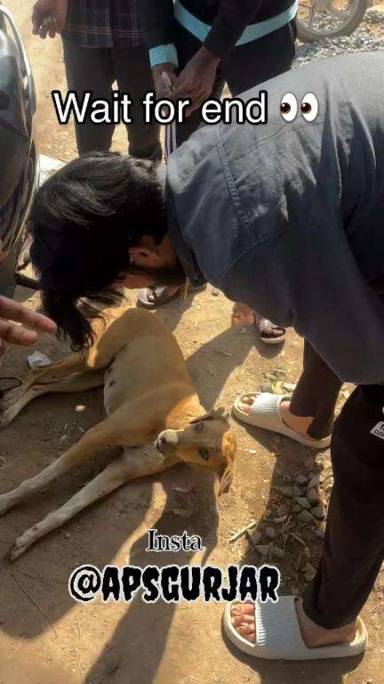 एक्सीडेंट हो गया कुत्ते का 🦮 

Respect Girls help poor help animals 

#apsgurjar #dog #accident #viral #dog