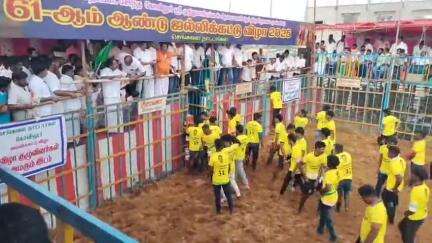 ஆலங்குடி: கோவிலூரில் ஸ்ரீ முத்துமாரியம்மன் ஆலய தேர்த்திருவிழாவை முன்னிட்டு ஜல்லிக்கட்டு போட்டிகள் வெகு சிறப்பாக நடைபெற்று வருகிறது