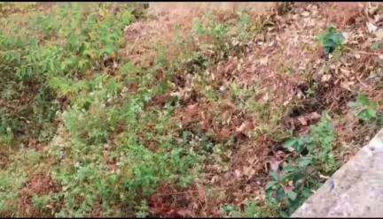 ஏற்காடு: ஏற்காடு மலை பாதையில் அழுகிய நிலையில் பெண் பிணம்.. இரண்டு பேரை பிடித்து போலீசார் விசாரணை