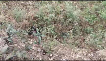 ஏற்காடு: இரு காதலிகளுடன் சேர்ந்து காதலியை விஷ ஊசி போட்டு கொலை - ஏற்காடு 60 பாலம் அருகே சடலம் மீட்பு சம்பவத்தில் மூவர் கைது