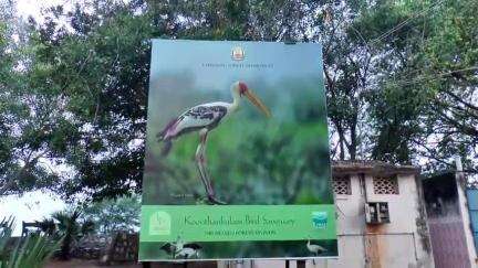 நாங்குநேரி: கூந்தங்குளம் பறவைகள் சரணாலயத்தில் பறவைகள் கணக்கெடுக்கும் பணி தன்னார்வலர்கள் பங்கேற்பு