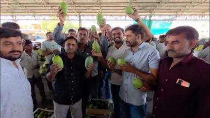 ગોંડલ: ગોંડલ માર્કેટ યાર્ડમાં ફળોની રાણી ગણાતી કેસર કેરીનું આગમન...