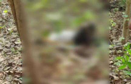 মানবাজার ২: জামতোড়িয়া ফরেস্ট অফিস সংলগ্ন এলাকায় এক ব্যক্তির ঝুলন্ত দেহ উদ্ধার ঘিরে চাঞ্চল্য ছড়ালো এলাকায়