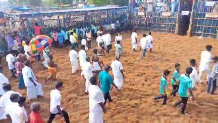 பொன்னமராவதி: முள்ளிம்பட்டியில் கோவில் திருவிழாவை முன்னிட்டு ஜல்லிக்கட்டு போட்டி