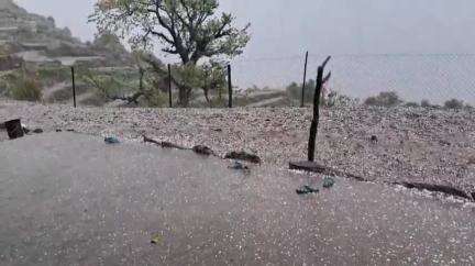 भटवाड़ी: द्वारी गांव में ओलावृष्टि के कारण काश्तकारों को हुआ भारी नुकसान