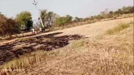 तालेड़ा: मालियों की मरांडी गाँव में 11 केवी का तार टूटकर गिरने से खेत में लगी आग