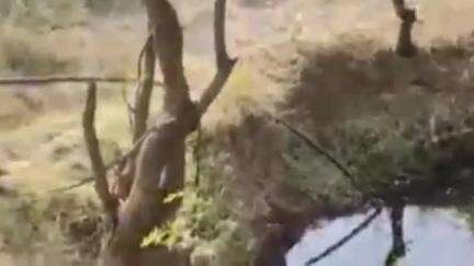 बागलाण: बागलाण तालुक्यातील नवी शेमळी येथे ३ इलेक्ट्रिक मोटारी सुमारे २४००० रुपये किमतीच्या चोरी