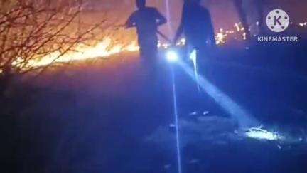 भदेसर: भदेसर क्षेत्र के आवरी माता की पहाड़ियों में भीषण आग लगी, वन संपदा और वन्यजीवों को हो रहा भारी नुकसान