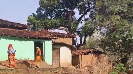 रायडीह: भेटवा कोना गांव में स्वतंत्रता सेनानी बख्तर साय मुंडन सिंह के वंशज मूलभूत सुविधाओं से वंचित #jansamasya