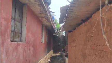 ସୋହେଲା: ଝର ଗ୍ରାମକୁ ଆଜି ସକାଲେ ଏକ ଜଙ୍ଗଲୀ ବାରହା ପଶି ରହିଥିବାରୁ ଗ୍ରାମବାସୀ ଆତଙ୍କିତ, ବନବିଭାଗ କର୍ମଚାରୀ ବାରହା କୁ ଧରିବାକୁ ହେଲେଣି ନାକେଦମ