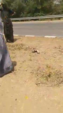 बाइक सावर युवक ने मारी दिवायदार मे गाड़ी