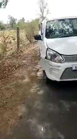 सुठालिया: लखनवास से दुआ खेड़ी जा रहे कार सवार की गाड़ी गाय को बचाने के प्रयास में पेड़ से टकरा गई, मामूली चोटें आईं