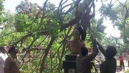हरदोई: लेफ्टिनेंट कर्नल की प्रतिमा पर गिरा पेड़,SP के संज्ञान में आते ही पेड़ को हटाया गया,पुलिसकर्मियों ने सफाई की।