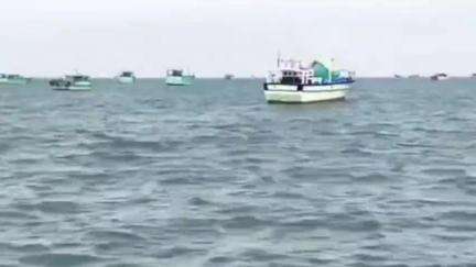 விளாத்திகுளம்: வேம்பார் பகுதியில் மீன் பிடி தடை காலத்தை முன்னிட்டு கரை திரும்பிய விசைப்படகுகள்