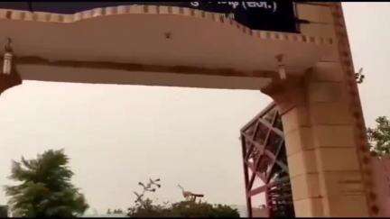 भादरा: नेठराना में पंचायत द्वारा निर्मित सड़क व नाली को तोड़ने के मामले में गोगामेड़ी थाने में दर्ज हुआ केस