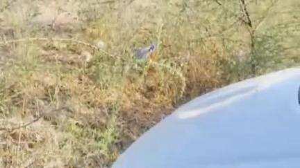 तिंवरी: सांवत कुआ के पास सड़क हादसा, गनीमत रही कि कोई जनहानि नहीं हुई