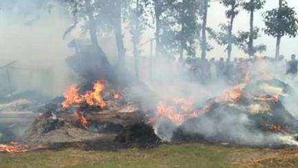 छातापुर: थ्रेसर की चिंगारी से लगी आग, लाखों की फसल जलकर राख