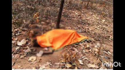 वाड्रफनगर: फोकली जंगल में हाथी के हमले से महिला की हुई मौत