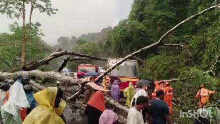 റാന്നി: ചാലക്കയത്ത് ഓടിക്കൊണ്ടിരുന്ന കെ.എസ്.ആർ.ടി.സി ബസിന് മുകളിൽ കൂറ്റൻ മരം വീണു, ഗതാഗതം തടസപ്പെട്ടു
