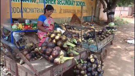 ஒட்டன்சத்திரம்: காமாட்சிபட்டியில் நுங்கு விற்பனை அமோகம்