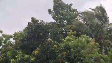 গড়বেতা ১: আবহাওয়া দপ্তরের পূর্বাভাস অনুযায়ী ব্যাপক ঝড় বৃষ্টি গড়বেতা এলাকায়