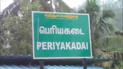 வால்பாறை: பெரிய கடை பயணியர் நிழல் குடையை ஆக்கிரமித்துக் கொள்ளும் வளர்ப்பு மாடுகள்  -பொதுமக்கள் அச்சம்