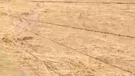 छत्तरगढ़: छतरगढ़ में देर रात आंधी के बाद किसानों की फसल व झोपड़े उड़े,की सरकार से मुआवजे की मांग
#jansamsya