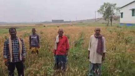 बाढ़: भारी बारिश ने रबी की फसल को तबाह किया, बाढ़ प्रभावित किसान मुआवजे की मांग कर रहे हैं
