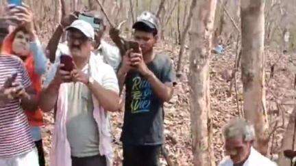 गंडई के भंवरदाह जंगल में श्रद्धा और भक्ति के साथ हुआ ज्योति विसर्जन, लगी भक्तों की भीड़