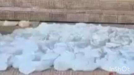 मेसकौर: मोकरी से 50 लीटर महुआ शराब को पुलिस ने सूचना के आधार पर किया बरामद, कारोबारी की जांच जारी