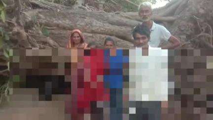 गाडरवारा: तेज हवाओं के कारण पुराना बरगद का पेड़ गिरा, बसुरिया रेशम केंद्र के सामने दबने से बछड़े की मौत