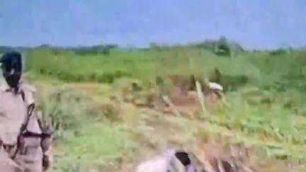 केसरिया: केसरिया थाना क्षेत्र में शराब के खिलाफ कार्रवाई करते हुए केसरिया पुलिस ने 130 लीटर शराब किया बरामद