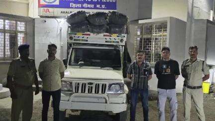 मनासा: मनासा पुलिस ने 10 क्विंटल 90 किलोग्राम डोडाचूरा से भरी पिकअप वाहन जब्त की, आरोपी फरार