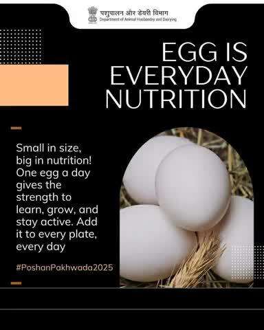 One egg, many benefits!
 Support your child’s growth, strengthen immunity, and energize the family by adding an egg to the daily meal. Big nutrition in a small shell!
#PoshanPakhwada2025 #animalhusbandry