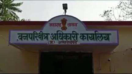 किनवट: 100 दिवस कृती आराखडा निकषा अंतर्गत आप्पारावपेठ वन विभागाने राबविले विविध कार्यक्रम - वनपरिक्षेत्र अधिकारी ढगे