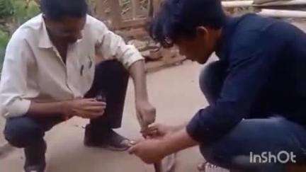जैतहरी: ग्राम गोबरी में एक व्यक्ति को घायल अवस्था में पड़े कोबरा सांप ने डसा, सर्प प्रहरियों ने घायल सांप का किया इलाज