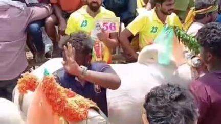காட்பாடி: காட்பாடி அக்ராவரம் பகுதியில் எருது விடும் திருவிழா வெகு விமர்சையாக நடைபெற்றது வாடிவாசல் வழியாக இளைஞர்கள் மத்தியில் சீறிப்பாய்ந்த காளைகள்