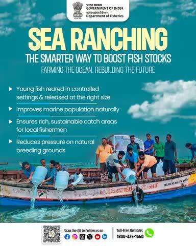 Sea Ranching: Enhancing marine biodiversity and livelihoods.
#SeaRanching #BlueEconomy #MarineBiodiversity #SustainableFisheries #FisheriesIndia