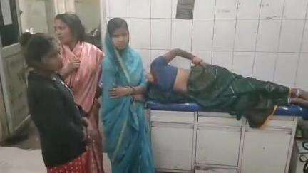 सिधौली: अमीर नगर में मधुमक्खियों के झुंड ने महिलाओं पर किया जानलेवा हमला, तीन महिलाएं घायल, उपचार जारी