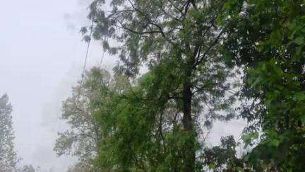 सोनुआ: सोनुआ में 33 हजार मैन लाइन खराब होने से 19 घंटे बाद बिजली बहाल